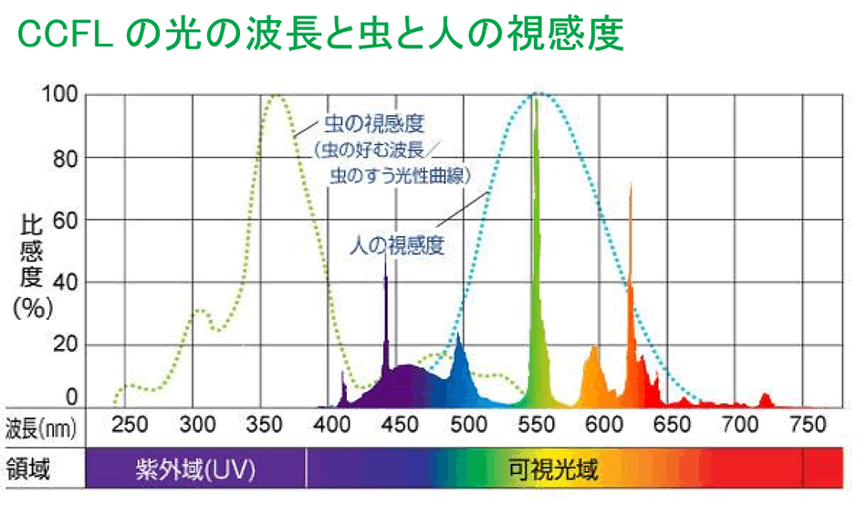 紫外線